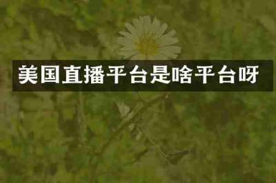 美国直播平台是啥平台呀