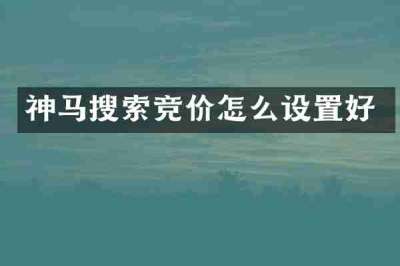神马搜索竞价怎么设置好