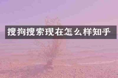 搜狗搜索现在怎么样知乎