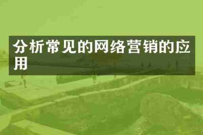 分析常见的网络营销的应用