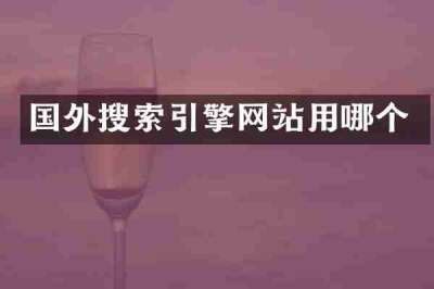 国外搜索引擎网站用哪个