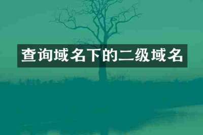 查询域名下的二级域名
