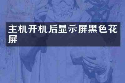 主机开机后显示屏黑色花屏