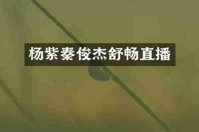 杨紫秦俊杰舒畅直播