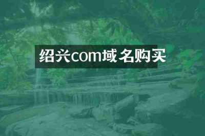 绍兴com域名购买