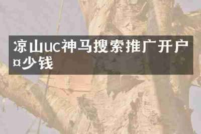 凉山uc神马搜索推广开户多少钱