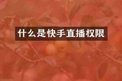 什么是快手直播权限