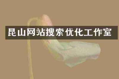 昆山网站搜索优化工作室