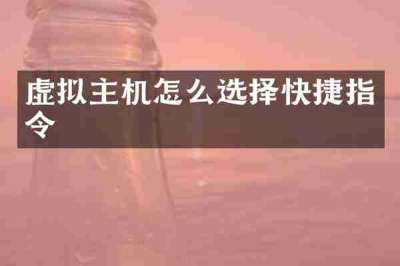 虚拟主机怎么选择快捷指令