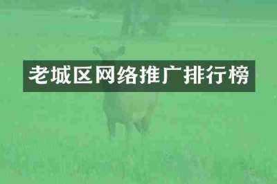 老城区网络推广排行榜