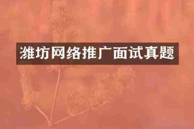 潍坊网络推广面试真题