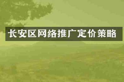 长安区网络推广定价策略