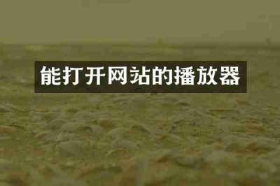 能打开网站的播放器