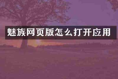 魅族网页版怎么打开应用