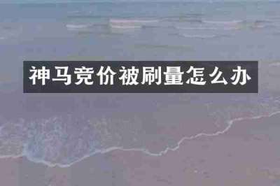 神马竞价被刷量怎么办