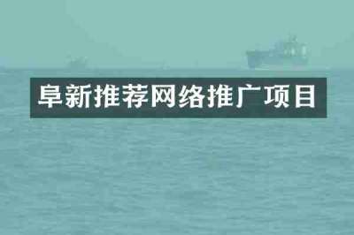 阜新推荐网络推广项目