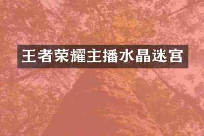 王者荣耀主播水晶迷宫