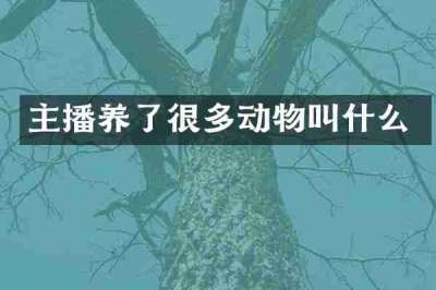 主播养了很多动物叫什么