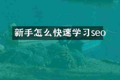 新手怎么快速学习seo