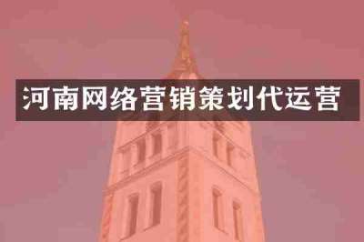 河南网络营销策划代运营