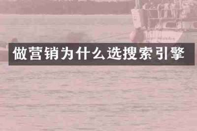 做营销为什么选搜索引擎