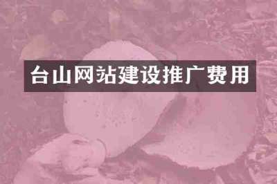 台山网站建设推广费用