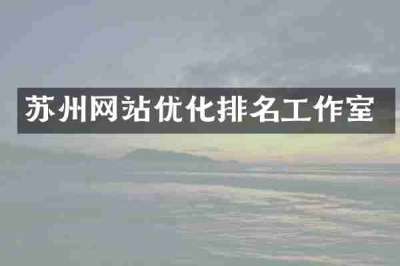 苏州网站优化排名工作室