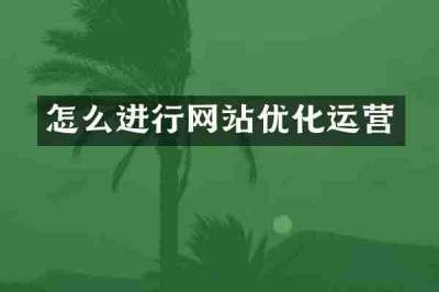 怎么进行网站优化运营