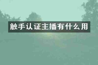 触手认证主播有什么用