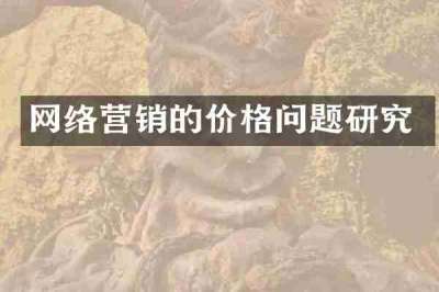 网络营销的价格问题研究