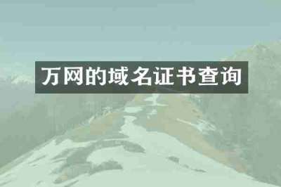 万网的域名证书查询
