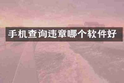 手机查询违章哪个软件好