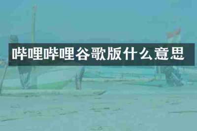 哔哩哔哩谷歌版什么意思