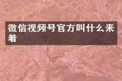 微信视频号官方叫什么来着