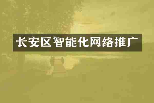 长安区智能化网络推广