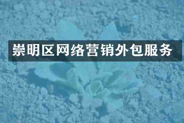 崇明区网络营销外包服务