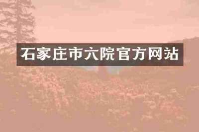 石家庄市六院官方网站
