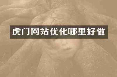 虎门网站优化哪里好做
