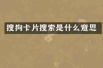 搜狗卡片搜索是什么意思