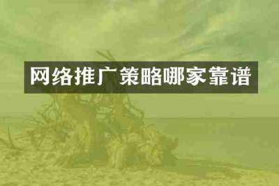 网络推广策略哪家靠谱