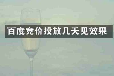 百度竞价投放几天见效果