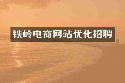 铁岭电商网站优化招聘
