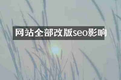 网站全部改版seo影响