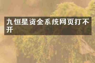 九恒星资金系统网页打不开