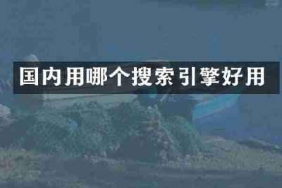 国内用哪个搜索引擎好用