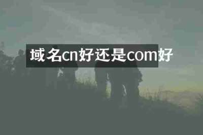 域名cn好还是com好