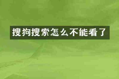搜狗搜索怎么不能看了
