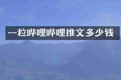一粒哔哩哔哩推文多少钱