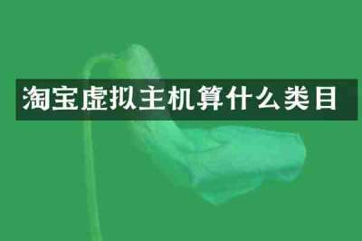 淘宝虚拟主机算什么类目