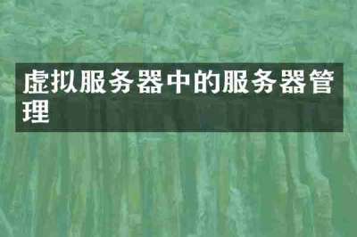 虚拟服务器中的服务器管理
